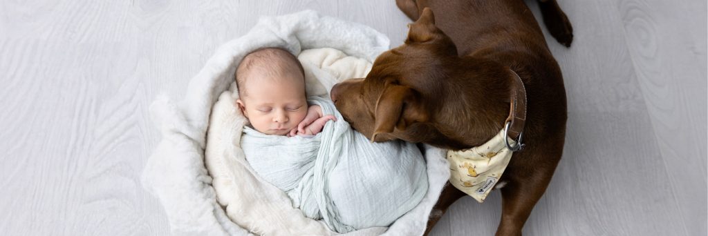 Including Your Fur Baby in Your Newborn Photography Session