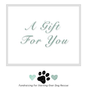 Christmas Photography Gift Voucher ~ SODR Fundraiser