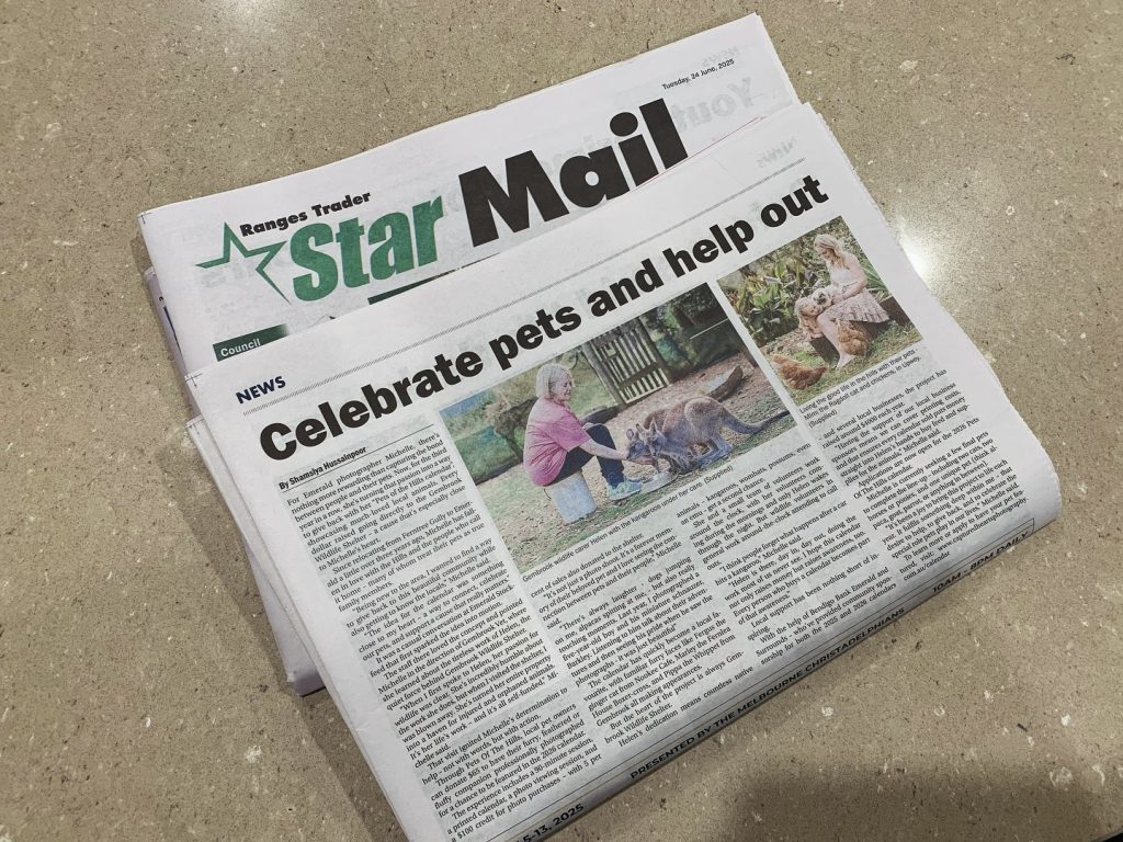 Star Mail: Pets Of The Hills Calendar Article