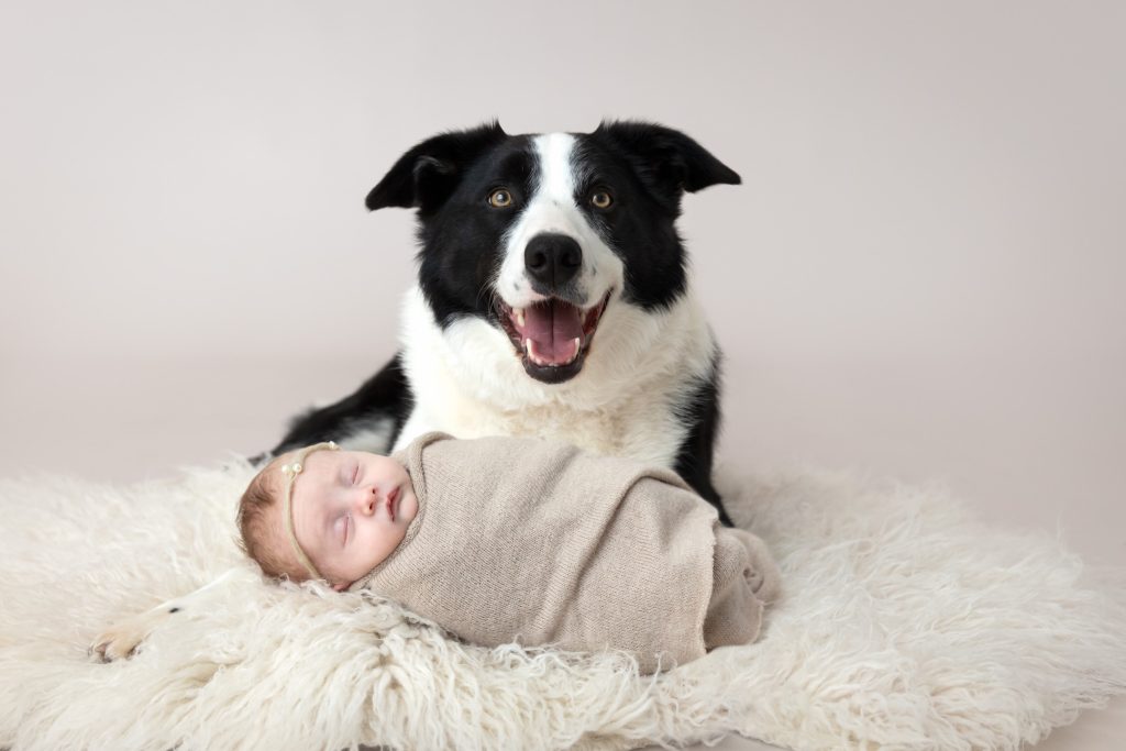 Babies and Pets: An Adorable Combination Worth Capturing Forever