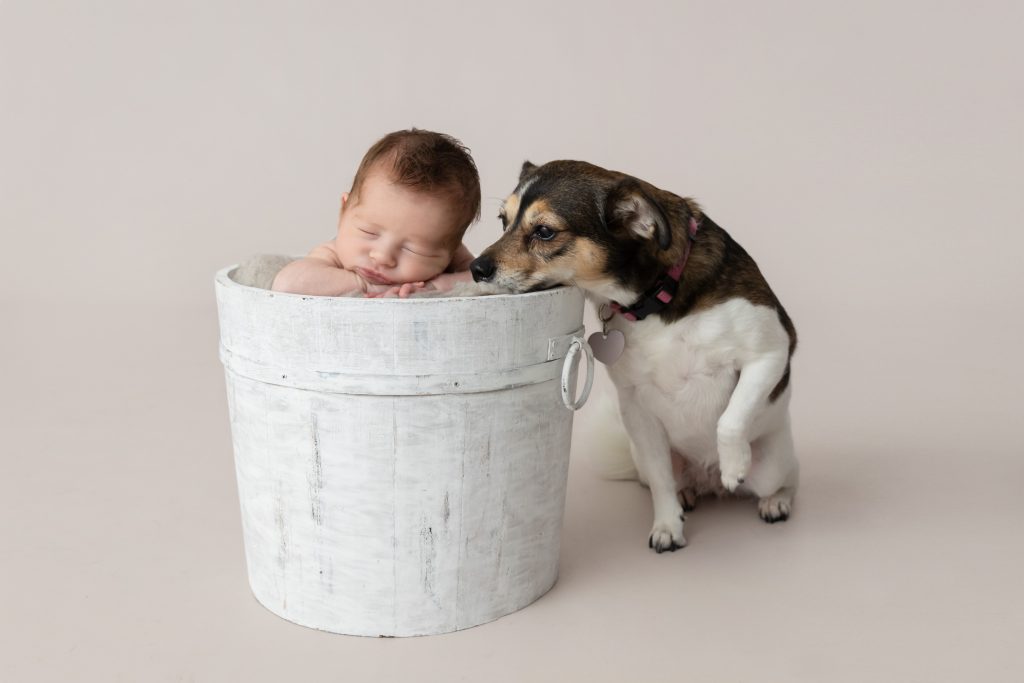 Babies and Pets: An Adorable Combination Worth Capturing Forever