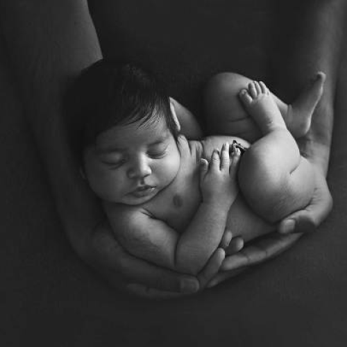 DSC0017-Edit2web(pp_w585_h448)